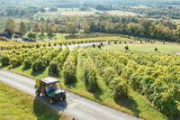 Bluemont experience package (wine & beer tasting + farm visit)
