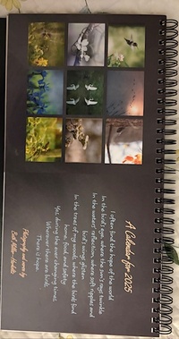 2025 calendar